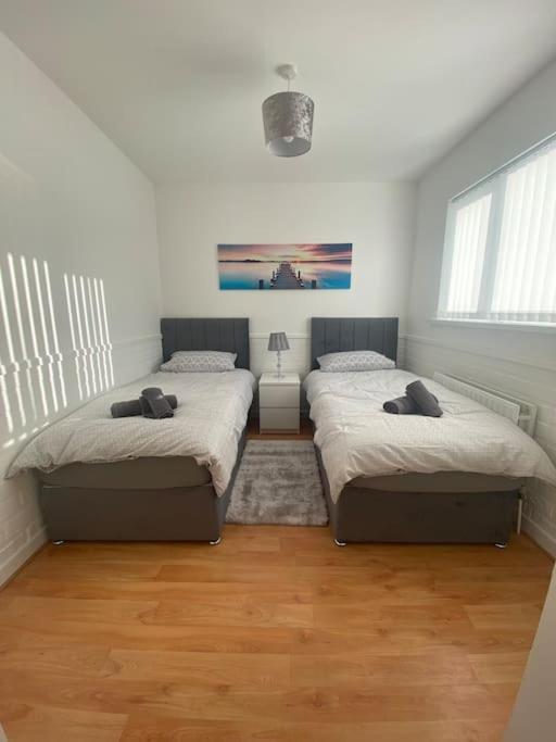 Modern Two Bed House Close To City Centre Belfast Exteriör bild
