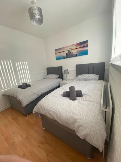 Modern Two Bed House Close To City Centre Belfast Exteriör bild