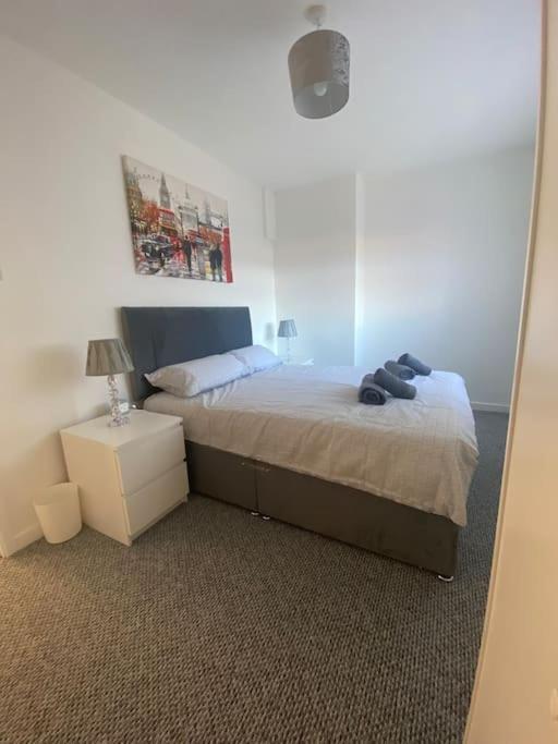Modern Two Bed House Close To City Centre Belfast Exteriör bild